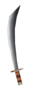 Sword of Assassin