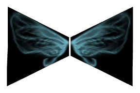 1st Level Wing