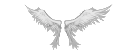 Wings of Heaven
