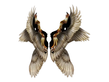 Wings of Arcane