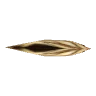 Golden Crest