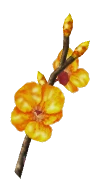 Golden Cherry Blossom Branch