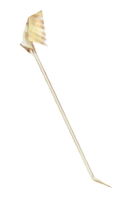 Angelic Staff