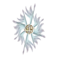 Elven Shield